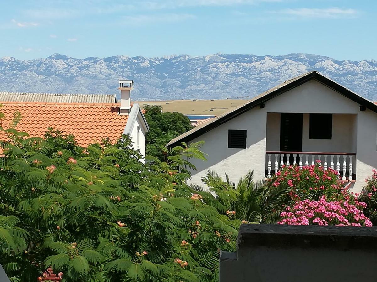 Apartman Zidak Vir Exterior photo